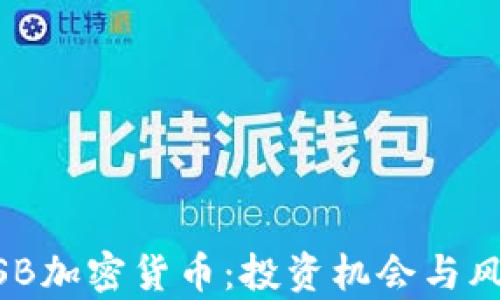 
探秘WSB加密货币：投资机会与风险分析