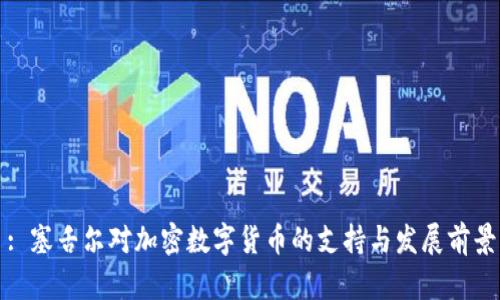 : 塞舌尔对加密数字货币的支持与发展前景