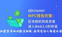 加密货币的风险与机遇：