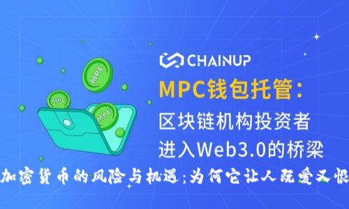加密货币的风险与机遇：为何它让人既爱又恨