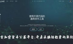探索加密货币公募平台：