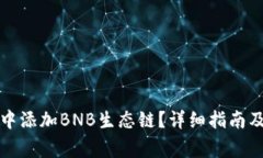 如何在TP钱包中添加BNB生态链？详细指南及常见问