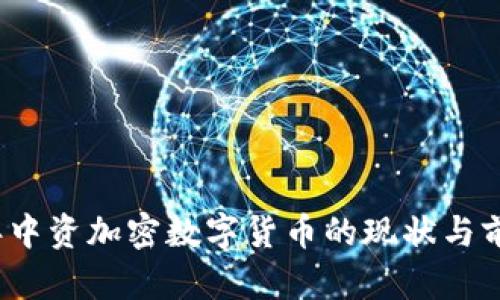 2023年中资加密数字货币的现状与前景分析