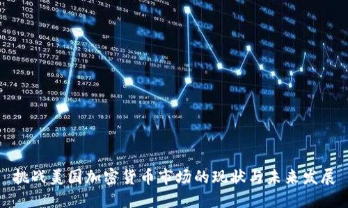 挑战美国加密货币市场的现状与未来发展