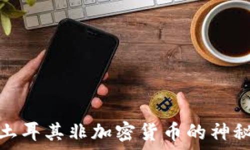   
揭开土耳其非加密货币的神秘面纱