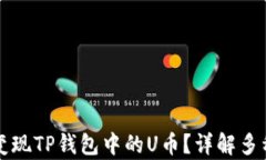 如何有效变现TP钱包中的U币？详解多种变现方式
