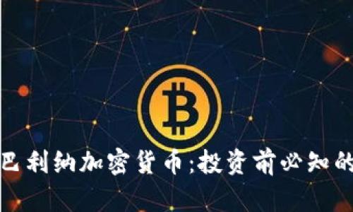 全面解析巴利纳加密货币：投资前必知的重要信息