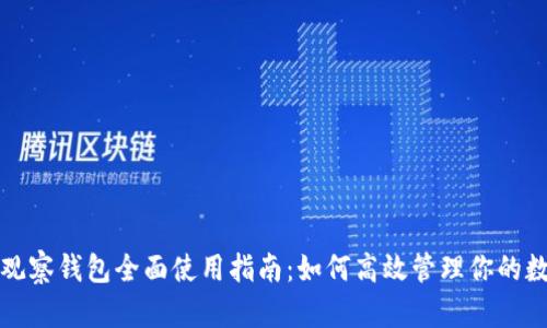 TP钱包观察钱包全面使用指南：如何高效管理你的数字资产