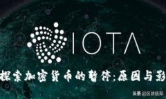 : 探索加密货币的暂停：原因与影响