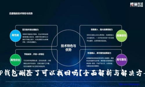 TP钱包删除了可以找回吗？全面解析与解决方案