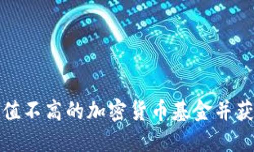 如何寻找市值不高的加密货币基金并获得可观收益