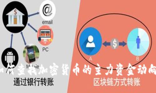 如何查找加密货币的主力资金动向？