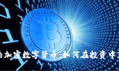 探秘全球最大的加密数字