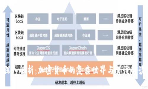 深入解析：加密货币的复杂世界与易懂解读