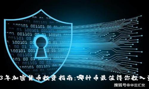 2023年加密货币投资指南：哪种币最值得你投入资金？