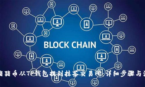 如何将猪猪币从TP钱包提到抹茶交易所：详细步骤与注意事项