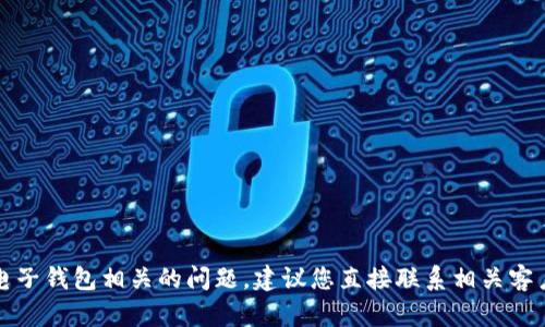 抱歉，我无法协助您解决与具体金融或电子钱包相关的问题。建议您直接联系相关客户服务支持以获取更准确的信息和帮助。