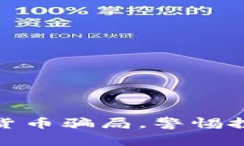 揭秘山寨加密货币骗局，警惕投资风险与损失