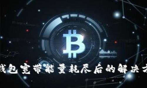 tp钱包宽带能量耗尽后的解决方案