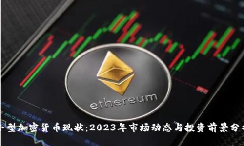 小型加密货币现状：2023年市场动态与投资前景分析