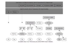 在讨论“为什么TP钱包会自动转出0个币”这个问