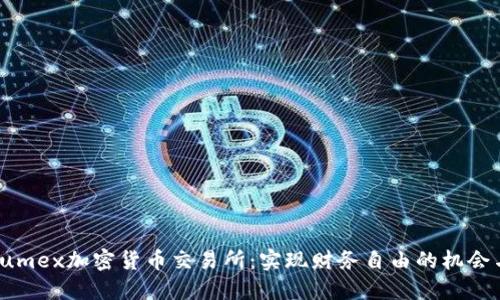 探索Kumex加密货币交易所：实现财务自由的机会与风险