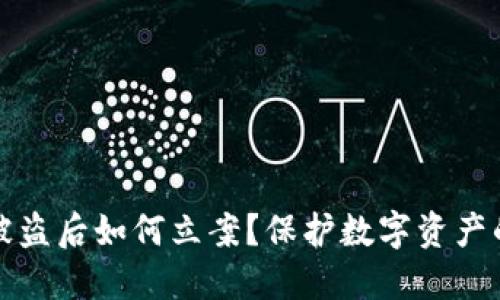 : TP钱包被盗后如何立案？保护数字资产的最佳实践