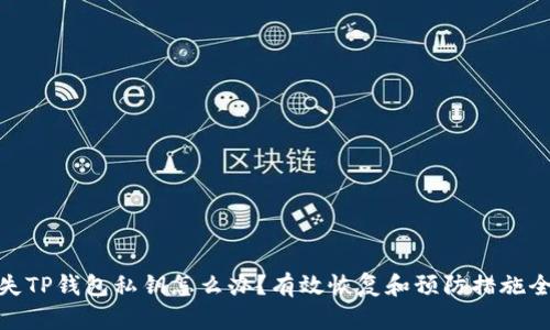 : 丢失TP钱包私钥怎么办？有效恢复和预防措施全攻略
