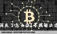 TP钱包中的币消失了怎么办？寻找解决方案与恢复