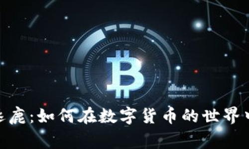 加密货币群雄逐鹿：如何在数字货币的世界中找到赢利之道