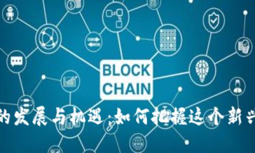 林芝市加密货币的发展与机遇：如何把握这个新兴市场的具体成果
