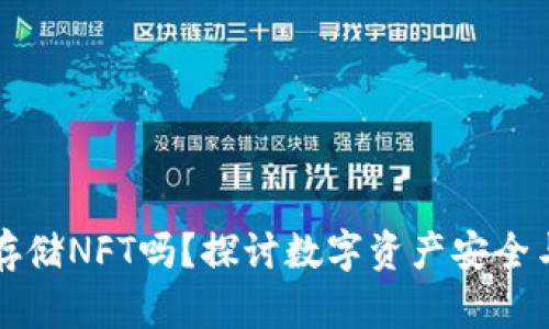 TP硬钱包能存储NFT吗？探讨数字资产安全与便捷的未来