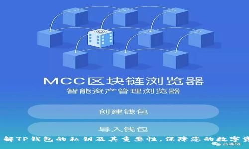t深入了解TP钱包的私钥及其重要性，保障您的数字资产安全