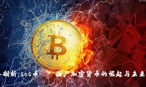 深入剖析：sos币——国产加密货币的崛起与未来展望