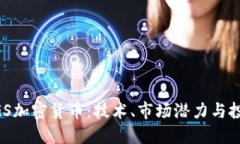 了解DGS加密货币：技术、