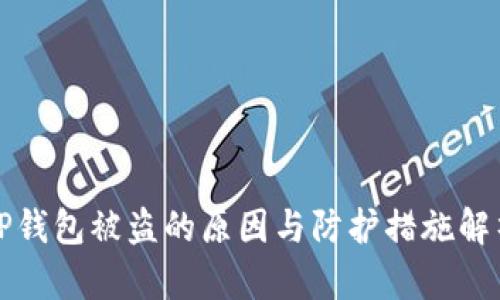 TP钱包被盗的原因与防护措施解析