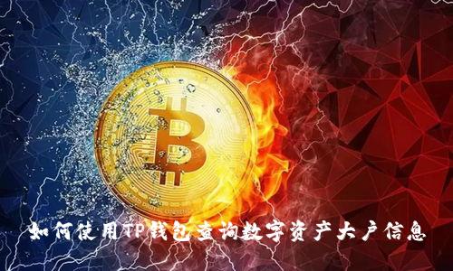 如何使用TP钱包查询数字资产大户信息