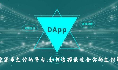 支持加密货币支付的平台：如何选择最适合你的支付解决方案