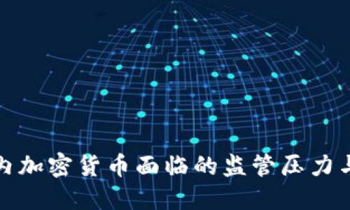全球范围内加密货币面临的监管压力与应对策略
