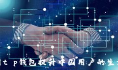   如何使用t p钱包提升中国用户的生活便利性