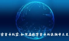 全球加密货币玩家：如何