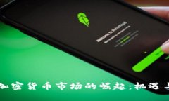 巴西加密货币市场的崛起：机遇与挑战
