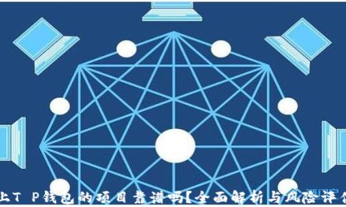 
上T P钱包的项目靠谱吗？全面解析与风险评估