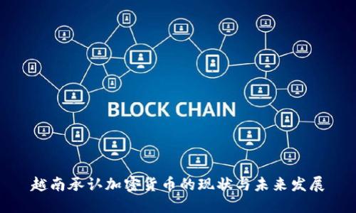 越南承认加密货币的现状与未来发展