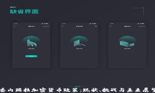 
委内瑞拉加密货币政策：现状、挑战与未来展望
