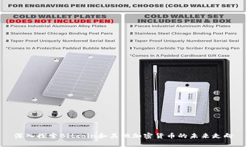 深入探索Bitcoin和其他加密货币的未来走向