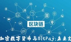 全面解析加密数字货币与