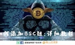 电脑版TP钱包如何添加BSC链：详细教程与常见问题