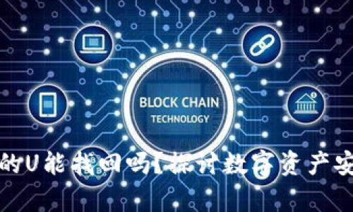 tp钱包池子里的U能找回吗？探讨数字资产安全与恢复方法